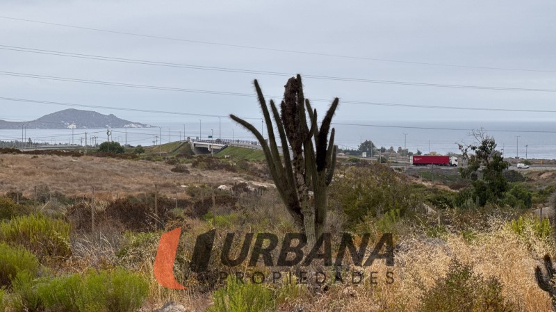 Venta Sitio Coquimbo - Coquimbo