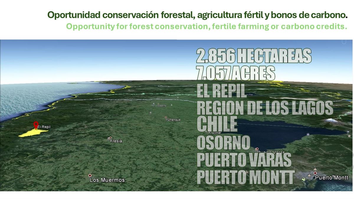 Venta Sitio Fresia - Los Lagos