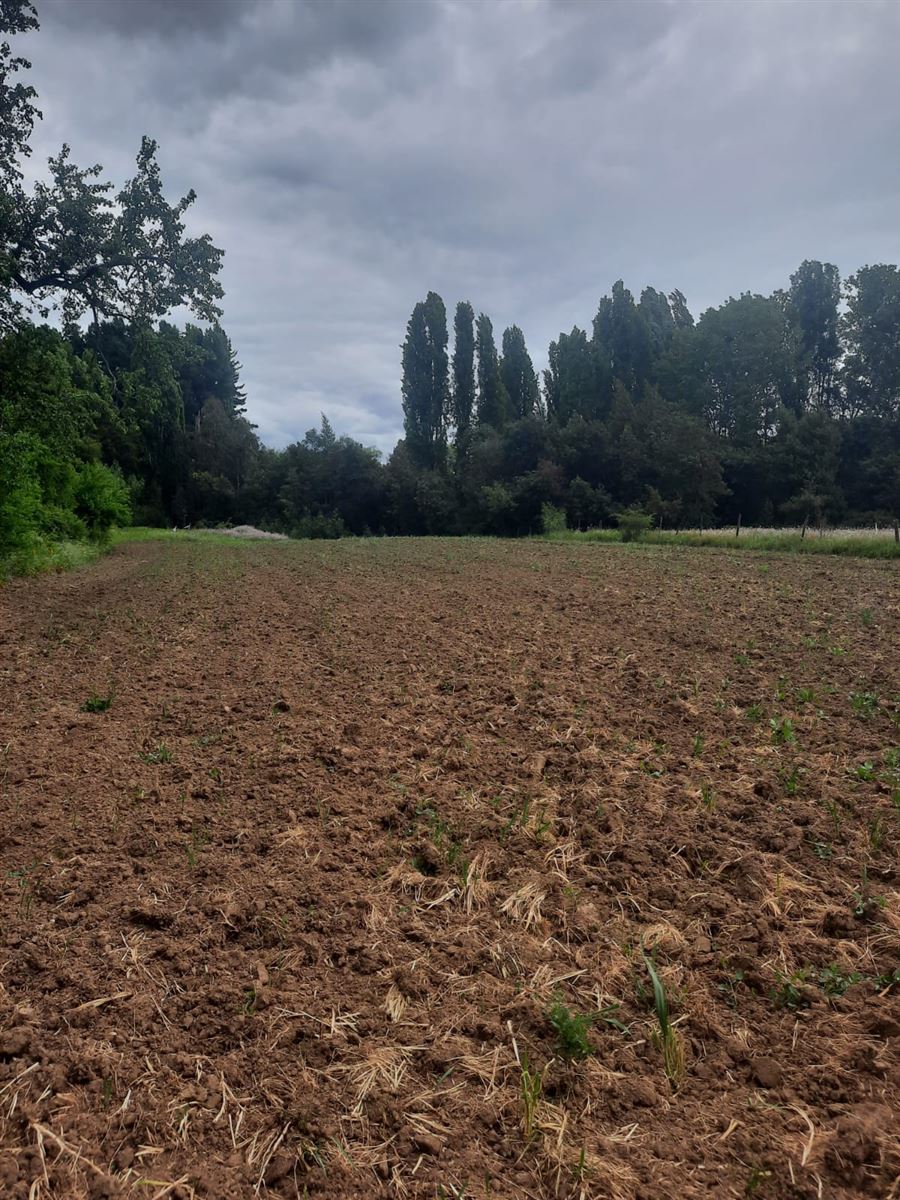 Venta Sitio Chillán - Ñuble