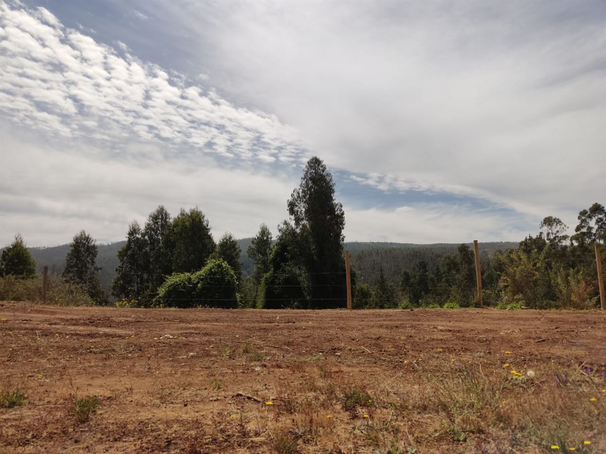 Venta Parcela Tomé - Biobío
