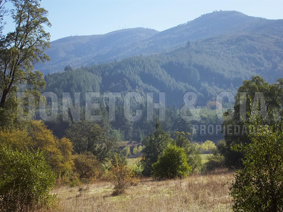 Venta Parcela Quillón - Ñuble