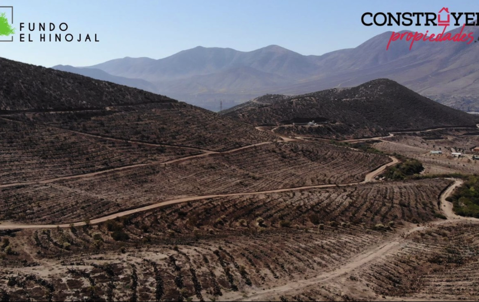 Venta Sitio Vicuña - Coquimbo
