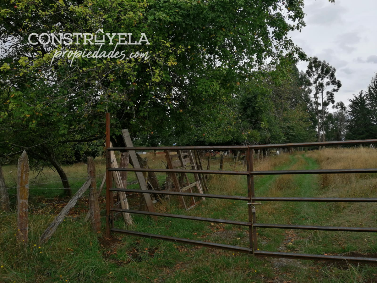 Venta Parcela Río bueno - Los Ríos