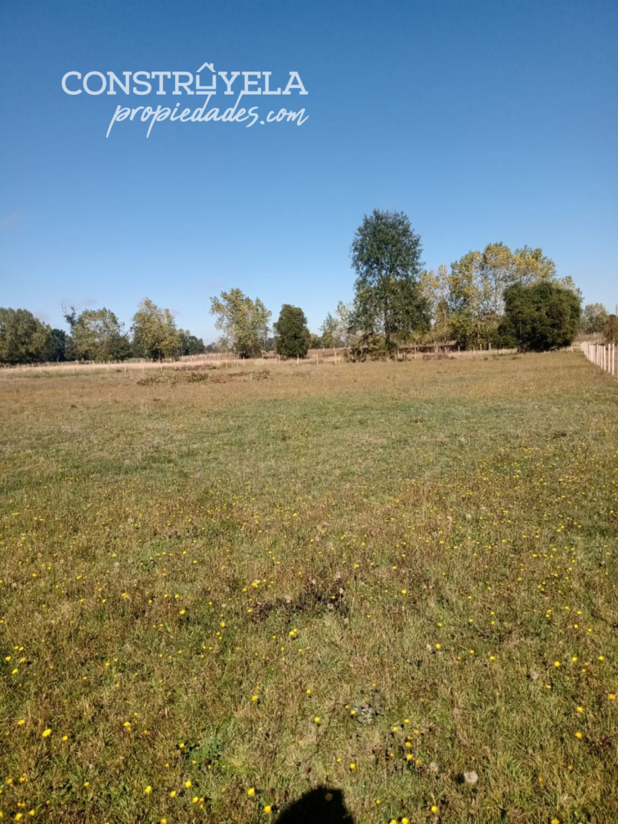 Venta Sitio Río bueno - Los Ríos