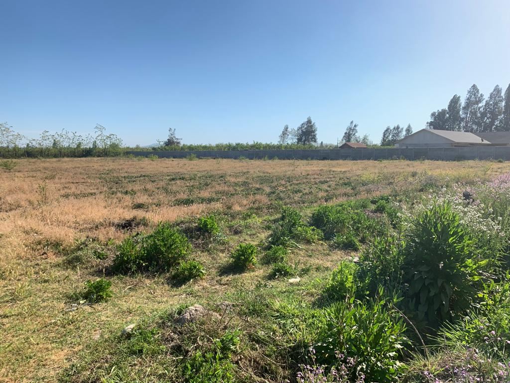 Venta Sitio Requínoa - O'Higgins