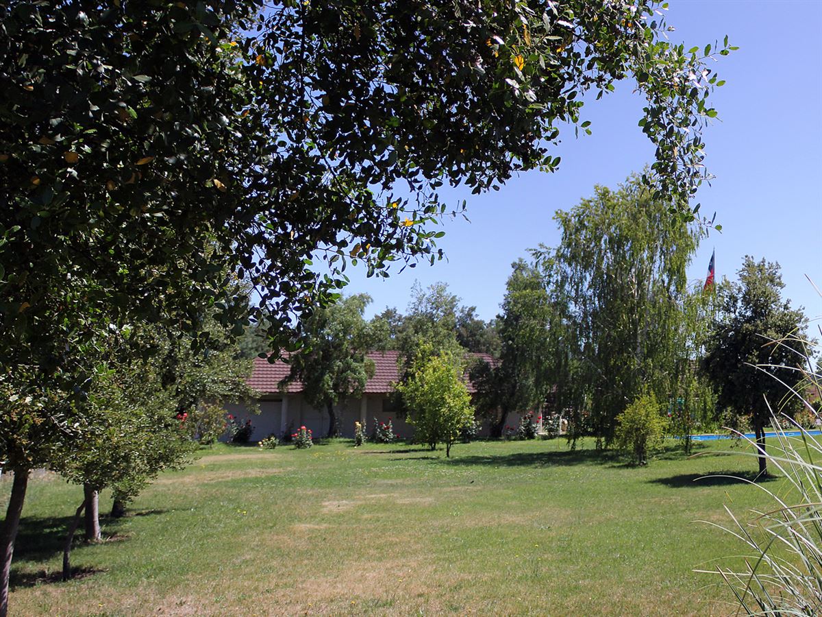 Venta Sitio Quillón - Ñuble
