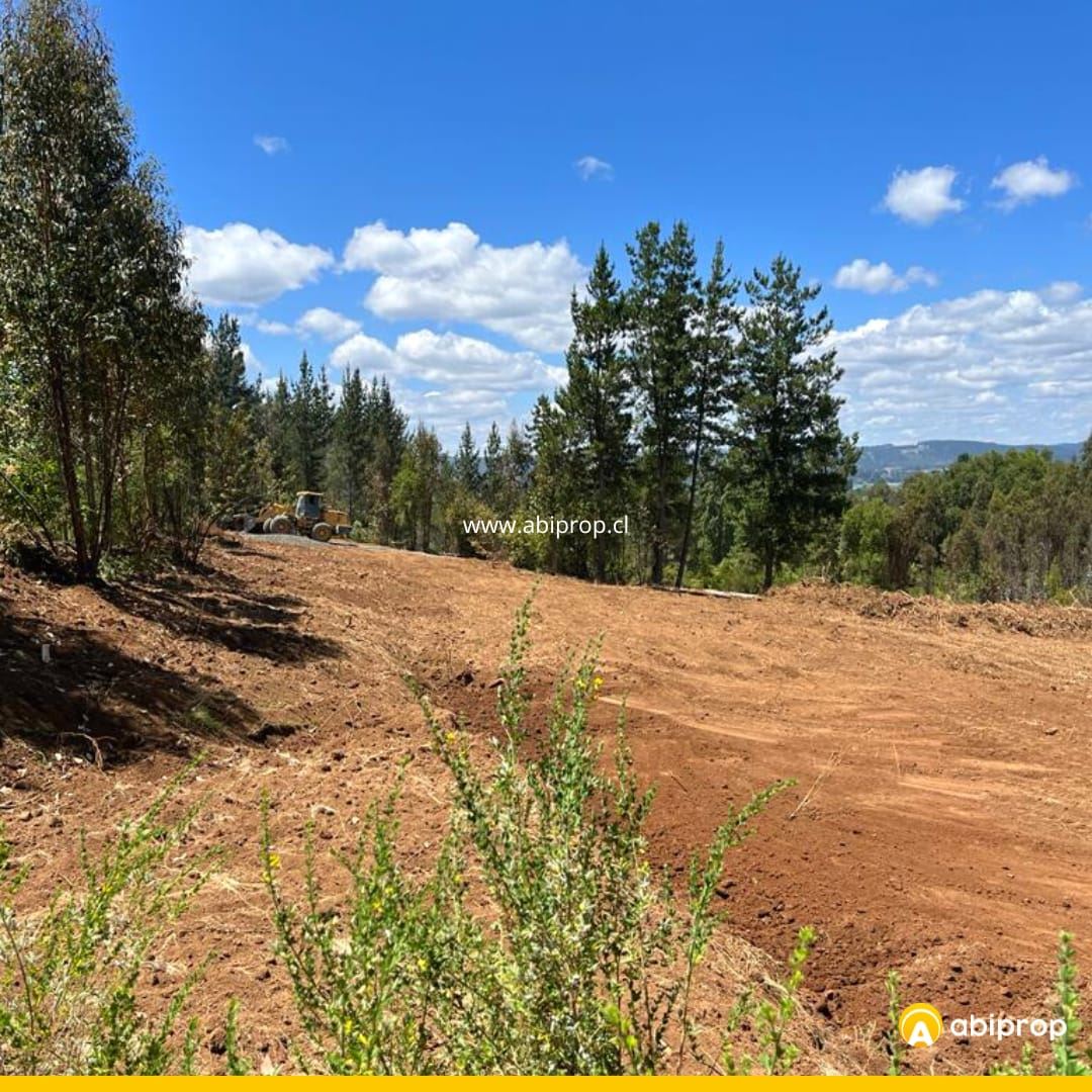 Venta Parcela Santa juana - Biobío