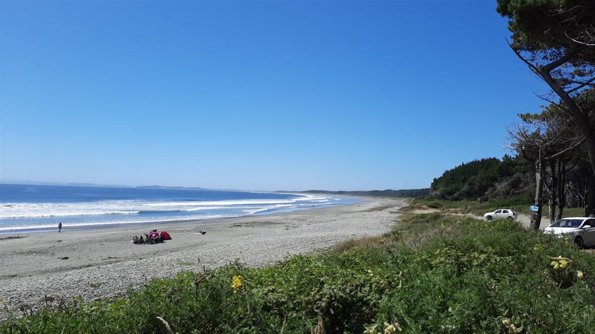 Venta Agrícola Aysén - Aysén