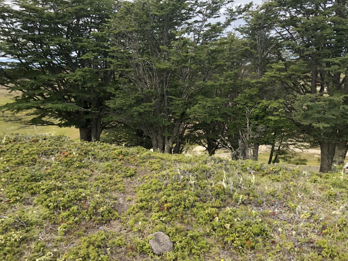 Venta Sitio Punta arenas - Magallanes y la Antártica Chilena