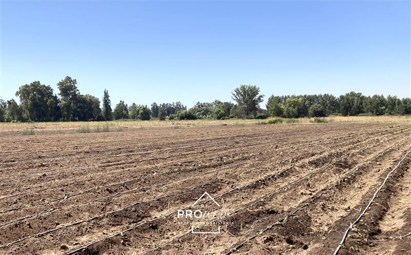Venta Agrícola Paine - Región Metropolitana