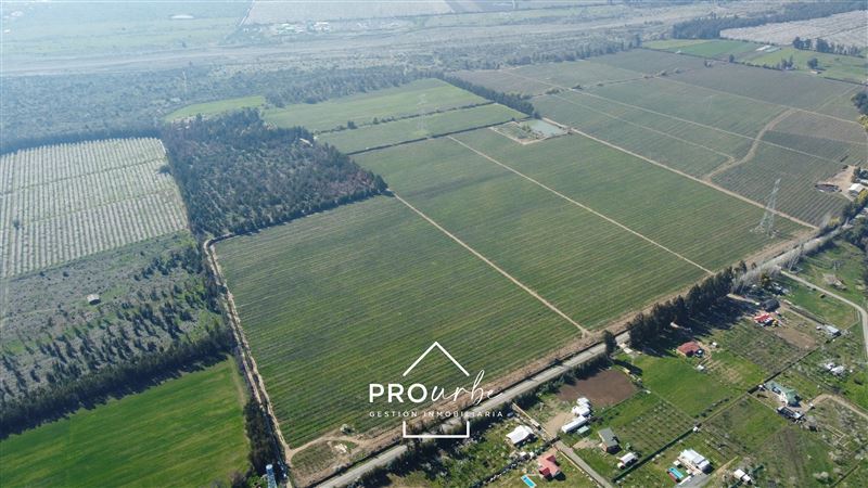 Venta Agrícola Codegua - O'Higgins
