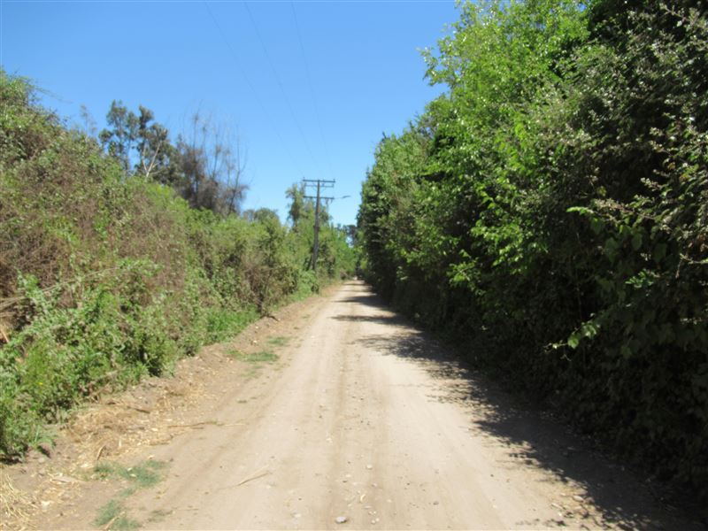 Venta Parcela Melipilla - Región Metropolitana