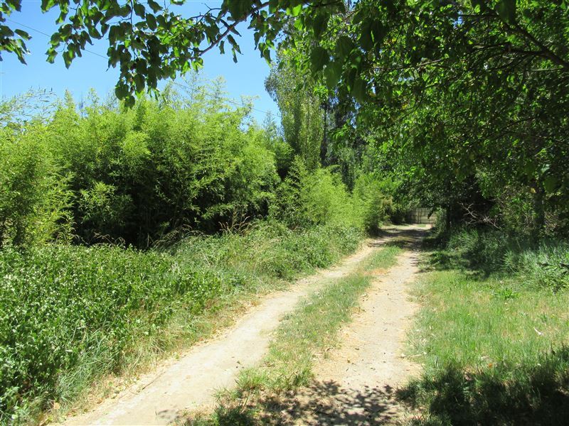 Venta Sitio Melipilla - Región Metropolitana