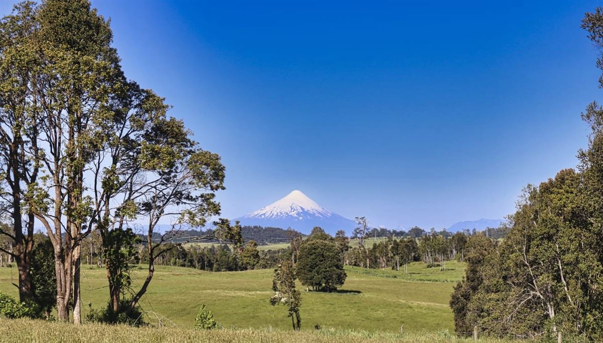 Venta Parcela Llanquihue - Los Lagos