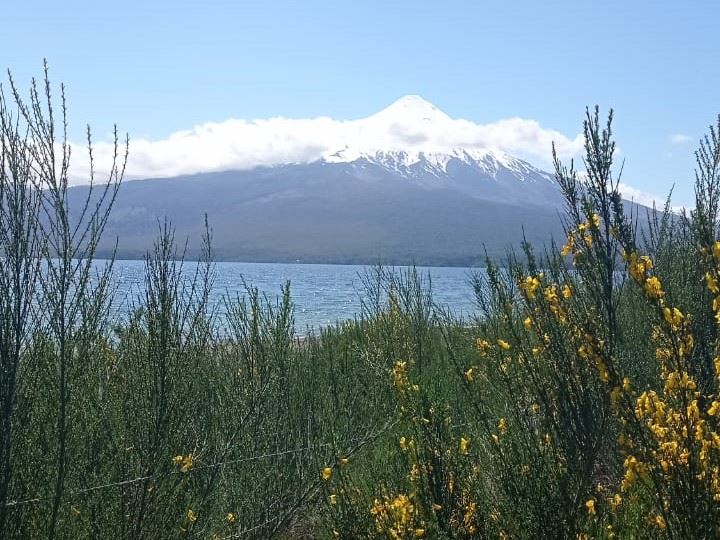Venta Parcela Puerto Varas - Los Lagos