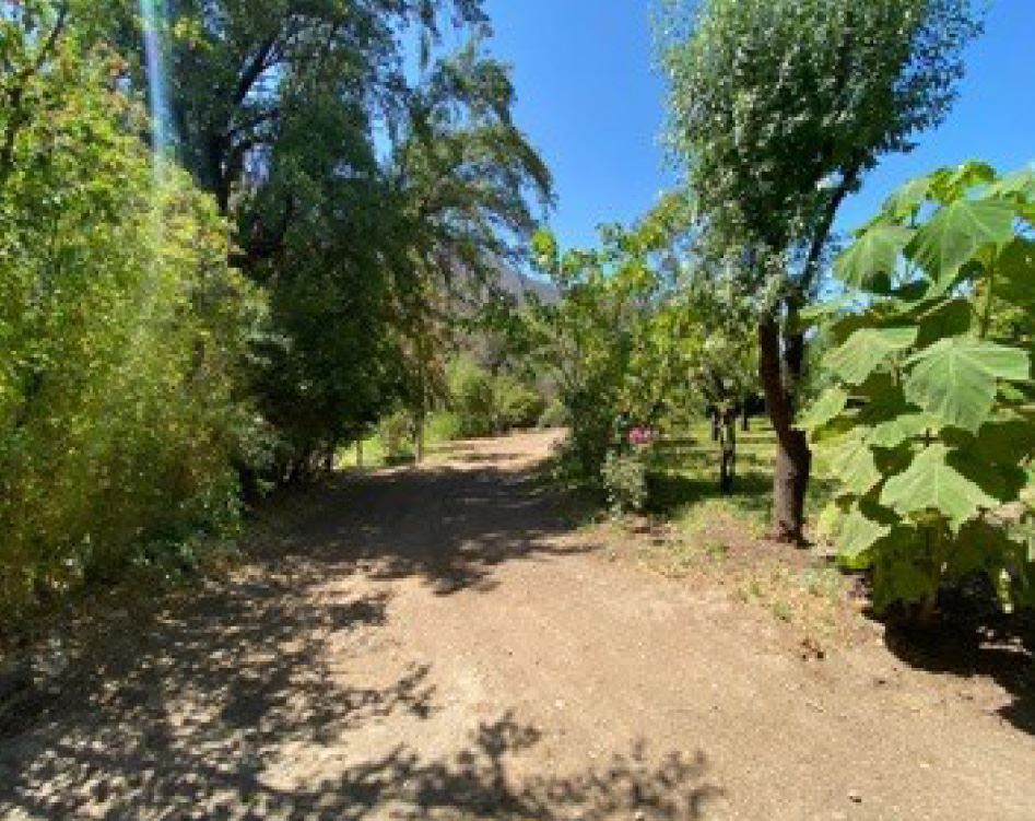 Venta Agrícola San josé de maipo - Región Metropolitana