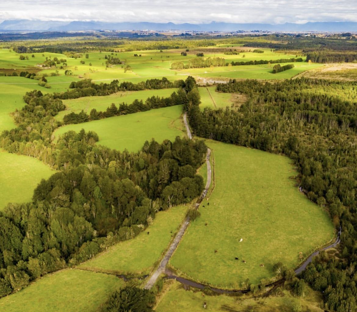 Venta Parcela Puerto Montt - Los Lagos