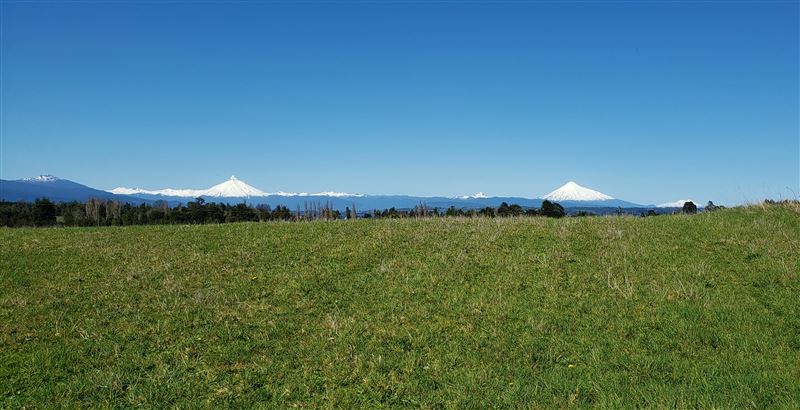 Venta Agrícola Río bueno - Los Ríos