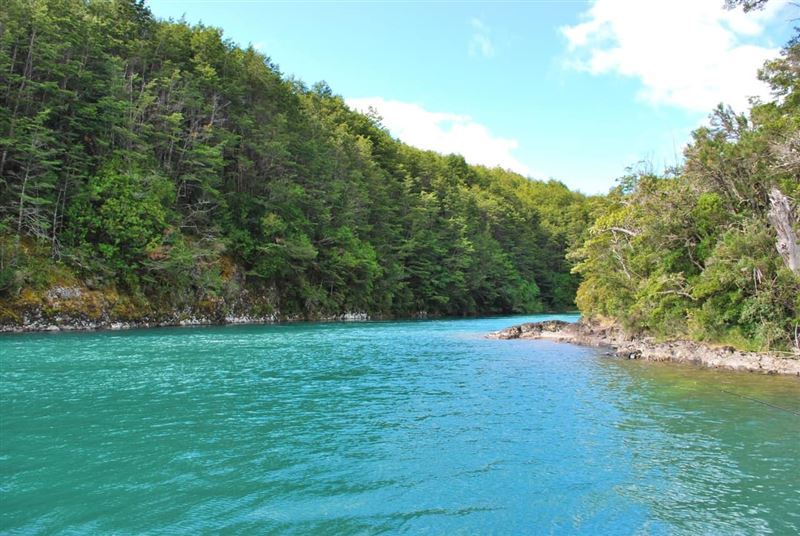 Venta Agrícola Cisnes - Aysén