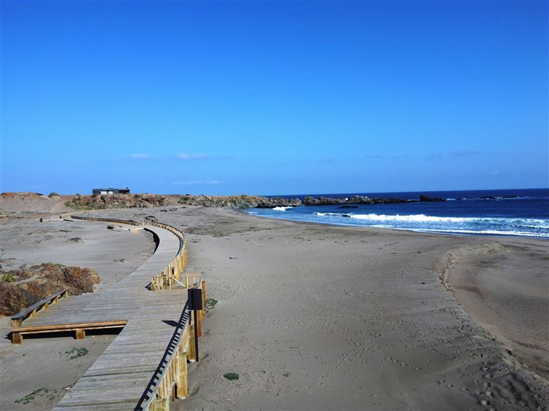 Venta Sitio Canela - Coquimbo
