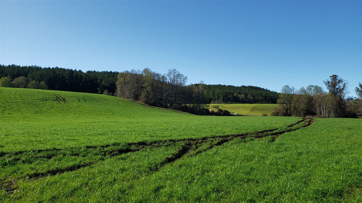 Venta Agrícola Río negro - Los Lagos