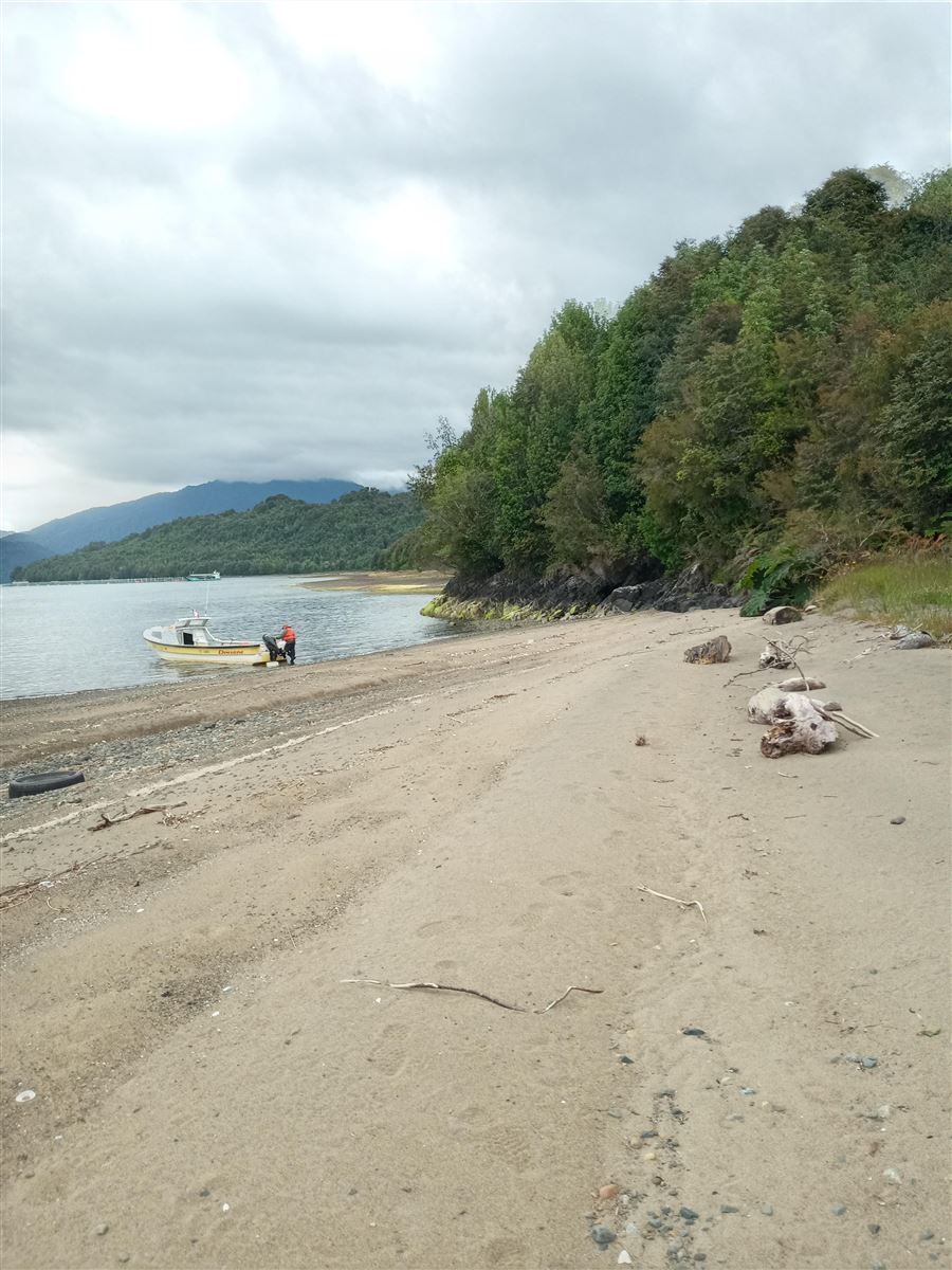 Venta Sitio Cisnes - Aysén