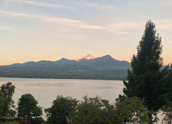 Venta Sitio Panguipulli - Los Ríos