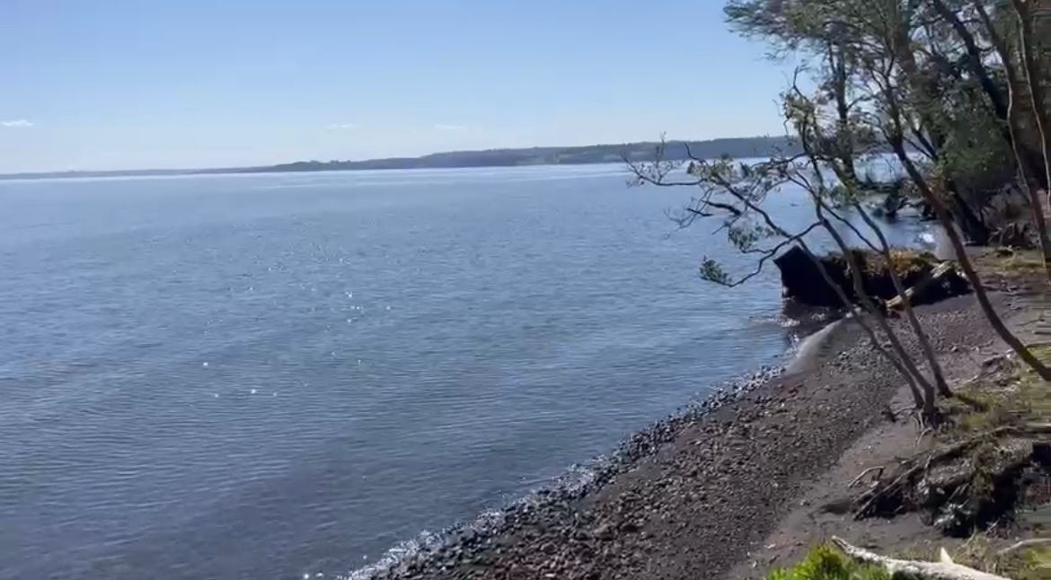 Venta Parcela Puerto Octay - Los Lagos