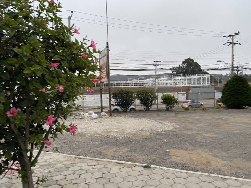 Venta Sitio Coquimbo - Coquimbo