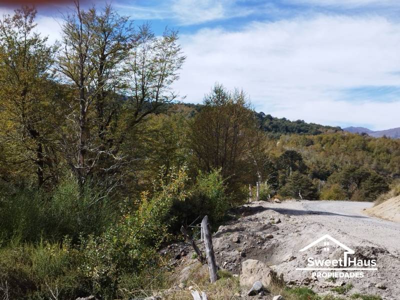 Venta Parcela Curarrehue - La Araucanía