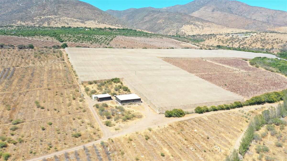 Venta Agrícola Illapel - Coquimbo