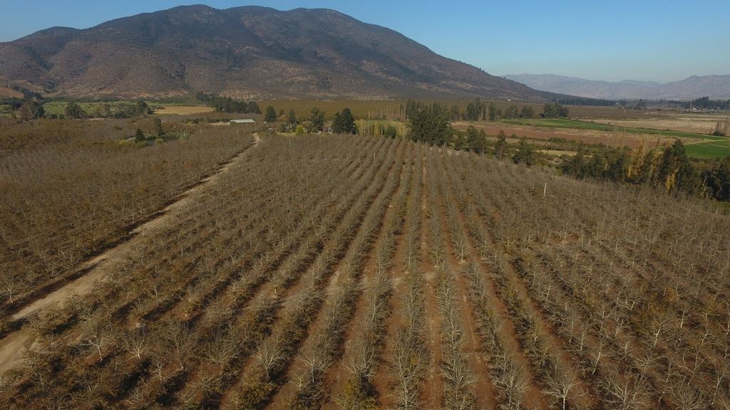 Venta Agrícola Melipilla - Región Metropolitana