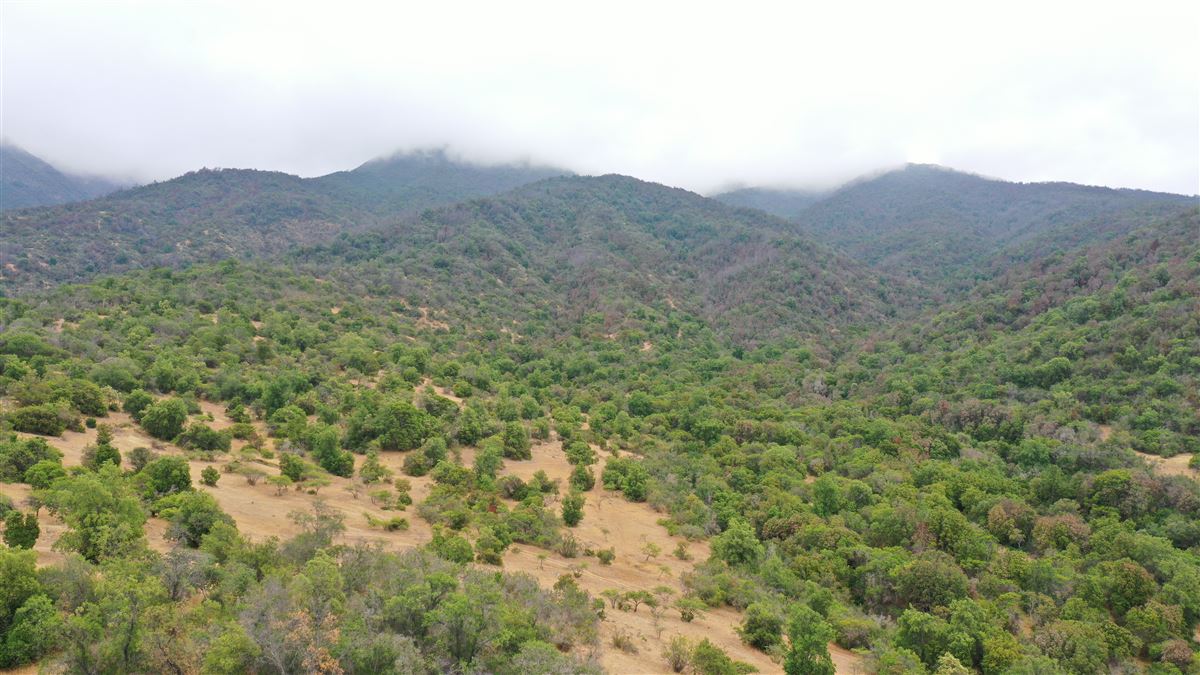 Venta Agrícola Melipilla - Región Metropolitana