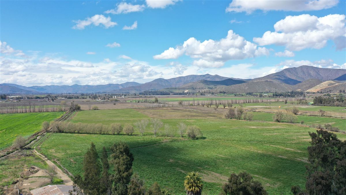 Venta Agrícola Melipilla - Región Metropolitana