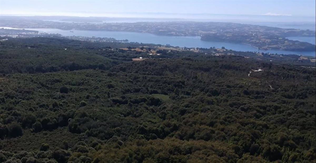 Venta Agrícola Chonchi - Los Lagos