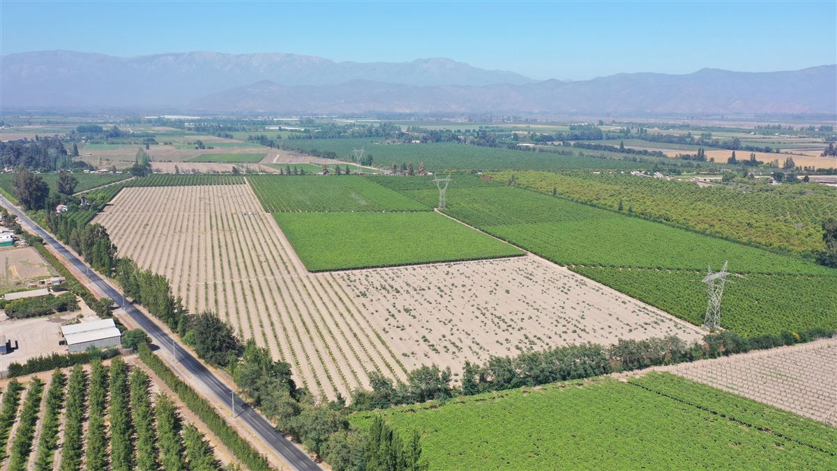 Venta Agrícola Buin - Región Metropolitana