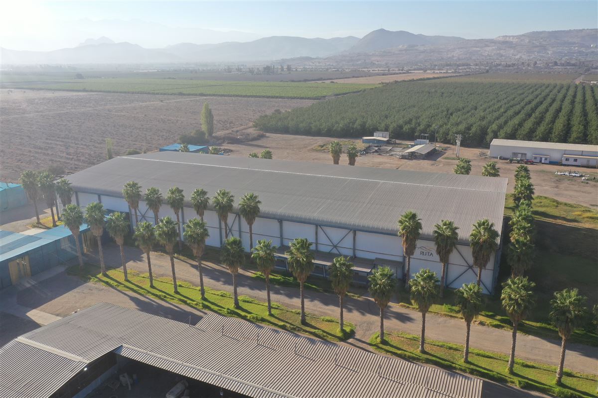 Venta Industrial Til til - Región Metropolitana