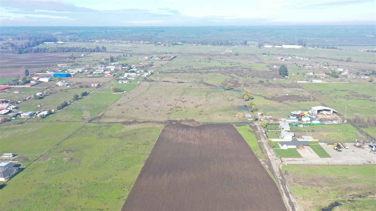 Venta Agrícola Chillán - Ñuble