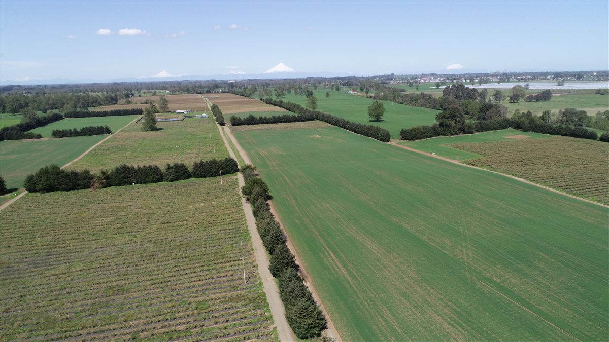Venta Agrícola Purranque - Los Lagos