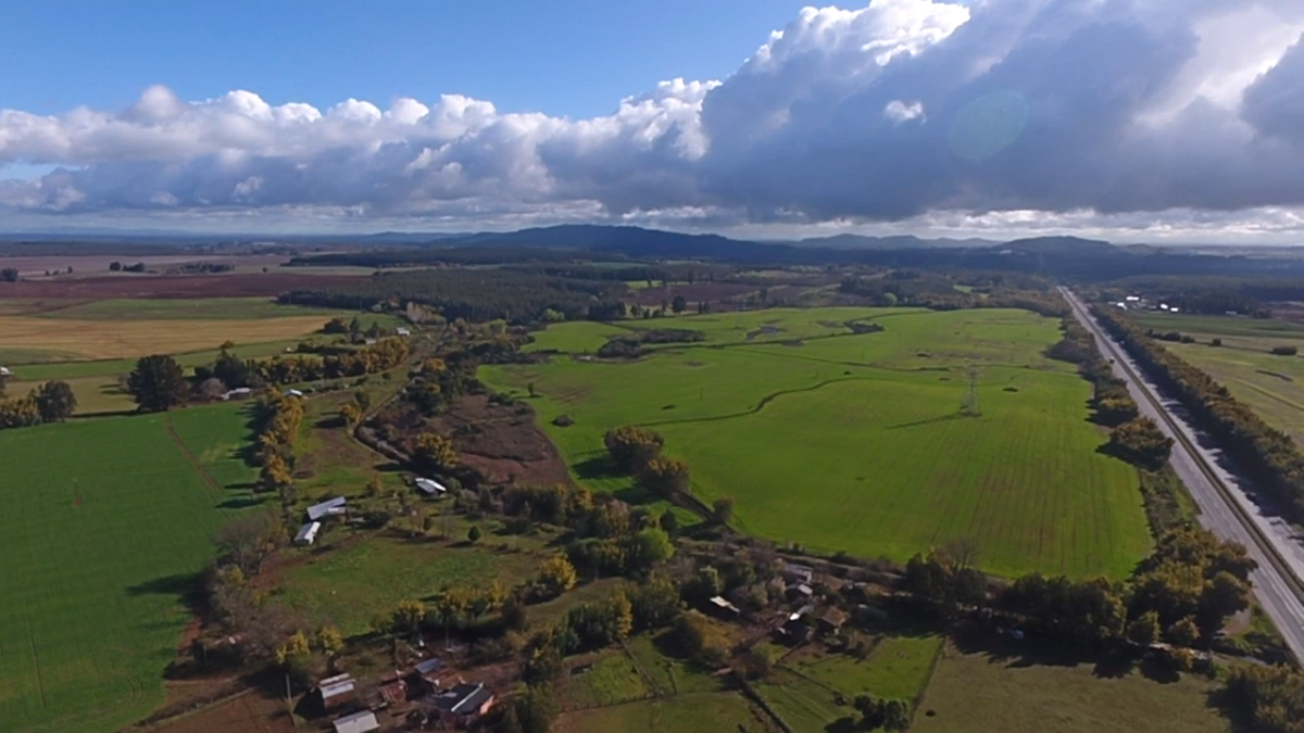 Venta Agrícola Mulchén - Biobío