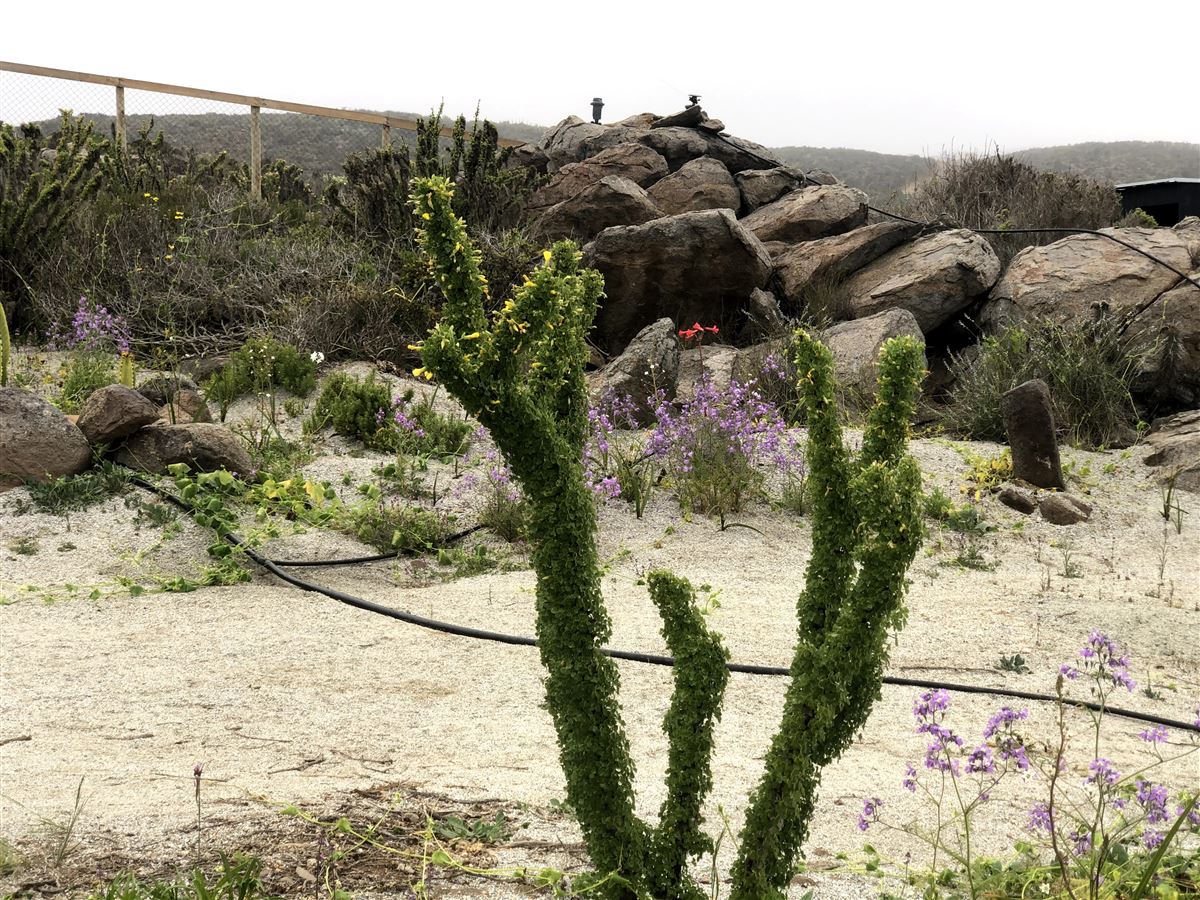 Venta Parcela La Serena - Coquimbo