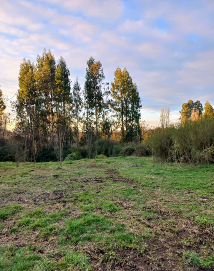 Venta Parcela Bulnes - Ñuble