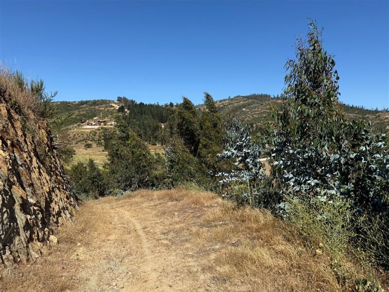 Venta Parcela Casablanca - Valparaíso