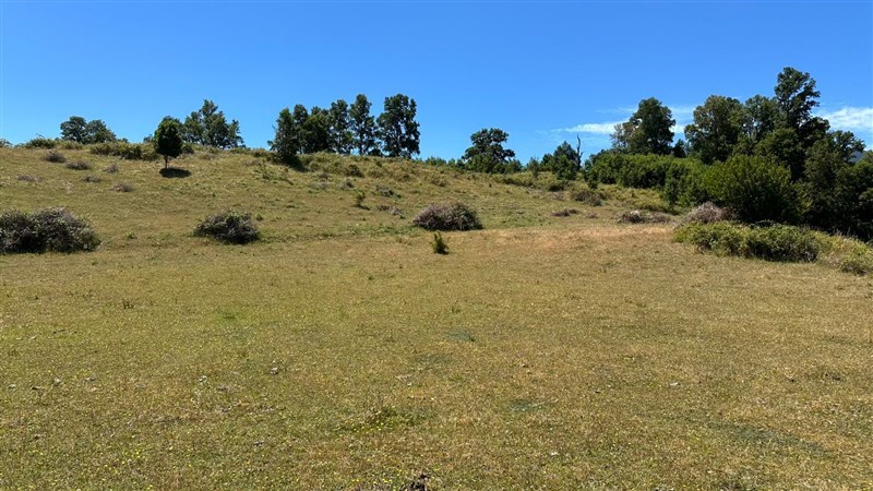 Venta Sitio Futrono - Los Ríos