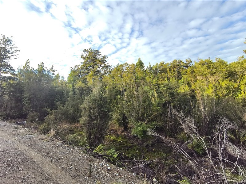Venta Parcela Ancud - Los Lagos