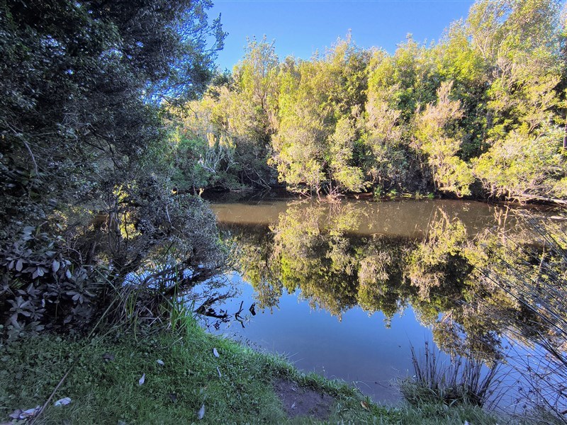 Venta Parcela Chonchi - Los Lagos